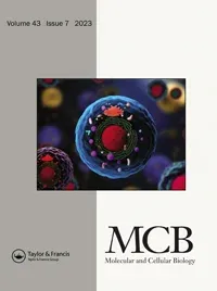 Molecular and Cellular Biology; September 2011 vol. 31 no. 18 3802-3819