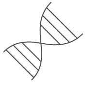 Edit Essence Genetics
